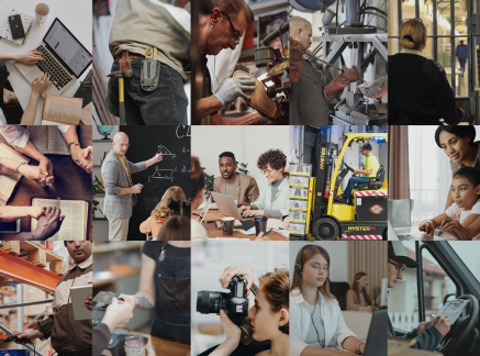 Our sectors