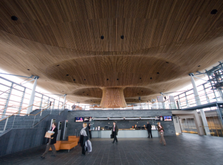 Community in the Senedd 